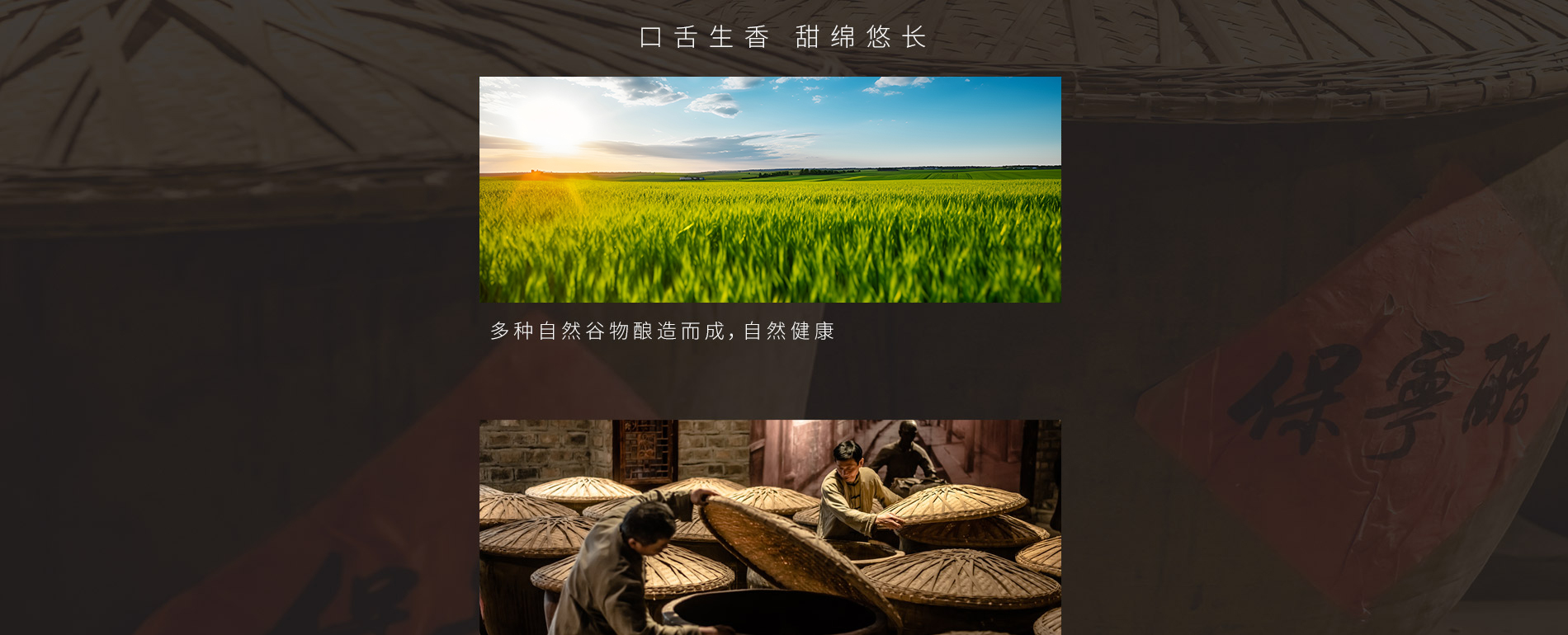 產(chǎn)品-國醋_05.jpg